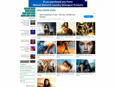 wallpaperhook.com snapshot
