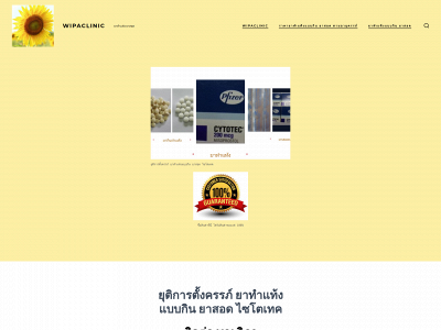 wipaclinic.co snapshot