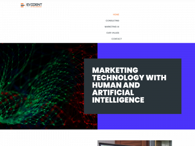 evidentintelligence.com snapshot