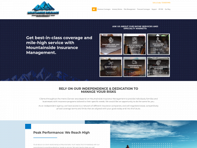 mountainsideins.com snapshot