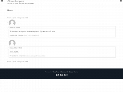 closedloopers.com snapshot