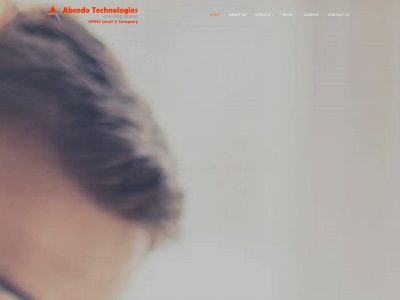 abctest.com snapshot
