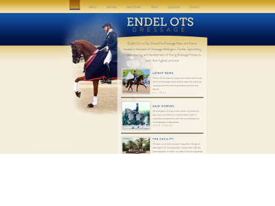 endelotsdressage.com snapshot