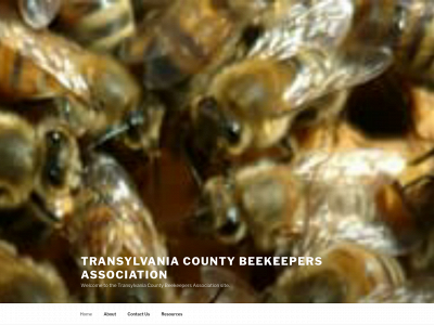 transylvaniacountybeekeepersassociation.com snapshot