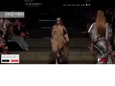 vilniusmodels.lt snapshot
