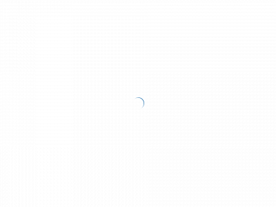 msprofessional.lt snapshot