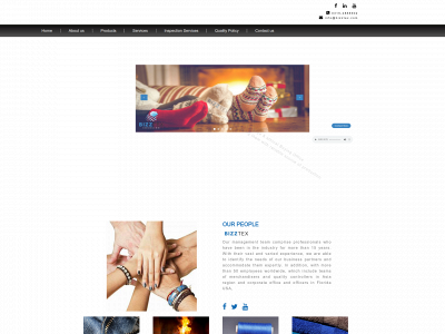 bizztex.com snapshot