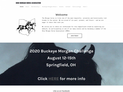 www.ohiomorganhorse.com snapshot