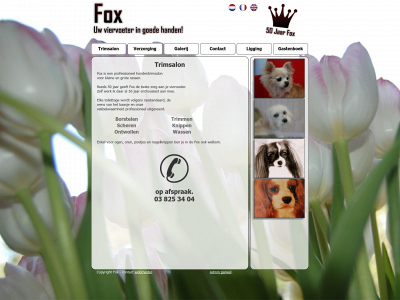 foxtoptrim.be snapshot