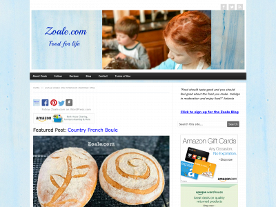 zoale.com snapshot