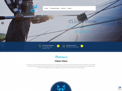 cleanview.be snapshot