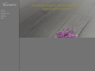 tilitoimistotiliportti.fi snapshot