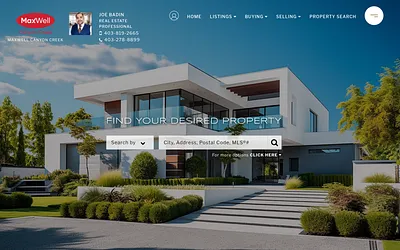 joebadin.com snapshot