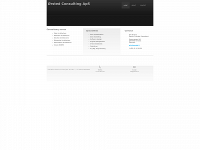 orsted.consulting snapshot