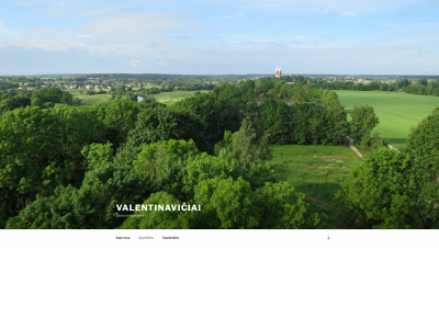 valentinaviciai.lt snapshot