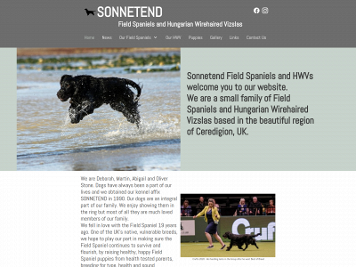 sonnetend.co.uk snapshot