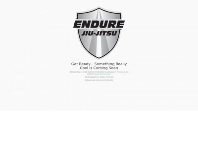 endurejj.com snapshot