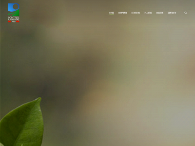 controlambiental.com.pe snapshot