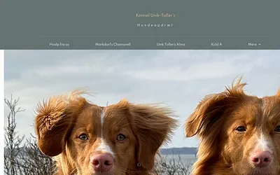 kennel-unik-tollers.dk snapshot