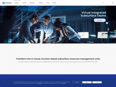 stradosinternational.com snapshot