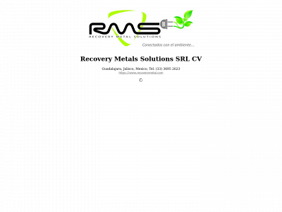 recoverymetalssolutions.com snapshot