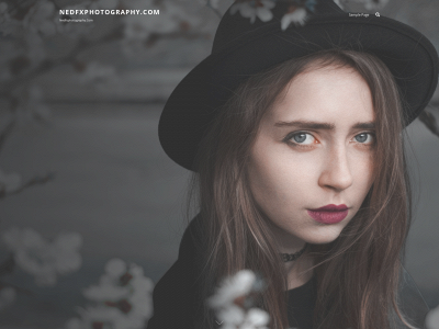 nedfxphotography.com snapshot