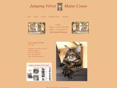 mainecoons-jumpingvelvet.com snapshot