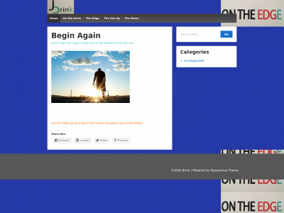 brinkwear.com snapshot