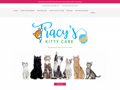 tracyskittycare.com snapshot