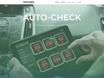 auto-check.lt snapshot