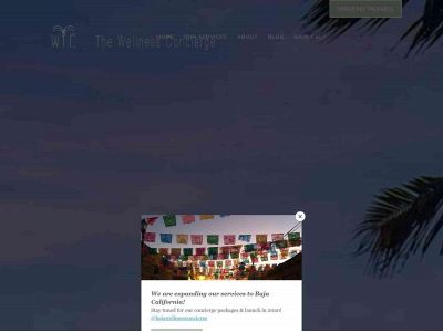 travelwellnessconcierge.com snapshot