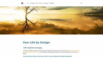 www.divinesparkradiance.com snapshot