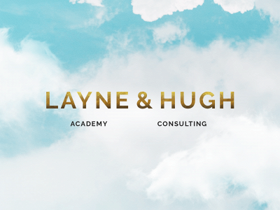 www.laynehughconsulting.com snapshot