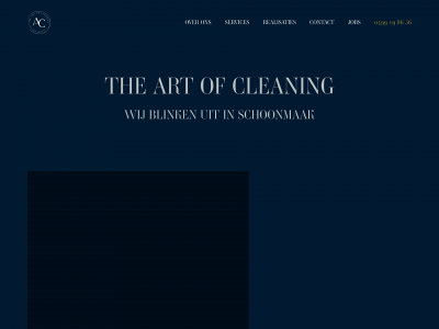 theartofcleaning.be snapshot