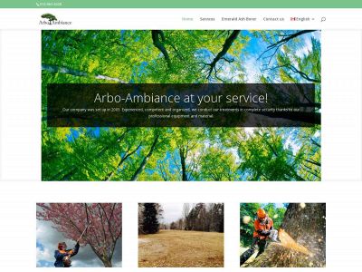 arbo-ambiance.com snapshot
