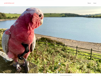 pinkchicken.net snapshot