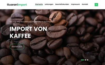 guaraniimport.com snapshot