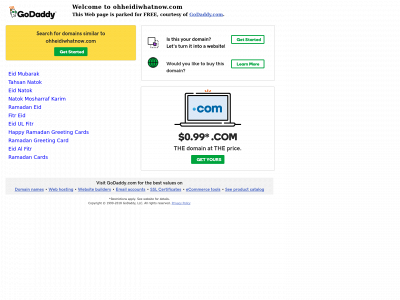 ohheidiwhatnow.com snapshot