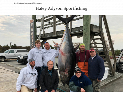 haleyadysonsportfishing.com snapshot