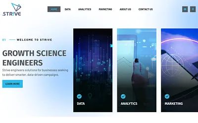 strive.co.za snapshot