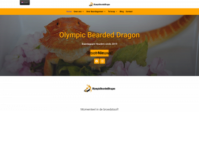 olympicbeardeddragon.com snapshot