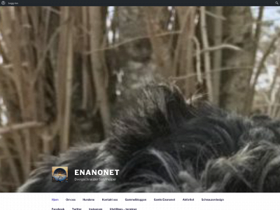 enanonet.com snapshot