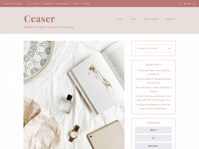 erinceaser.com snapshot