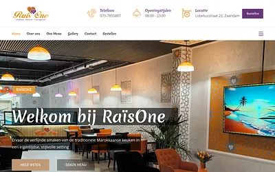 raisone.nl snapshot