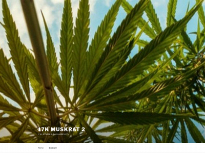 17kmuskrat2.com snapshot
