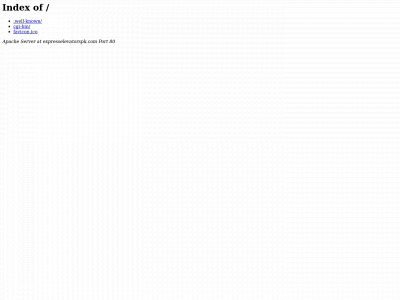 expresselevatorspk.com snapshot