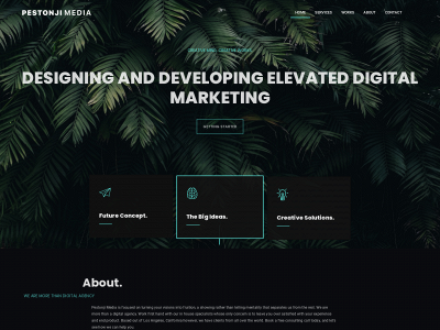 pestonjimedia.com snapshot