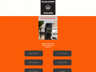 autofixchecker.nl snapshot