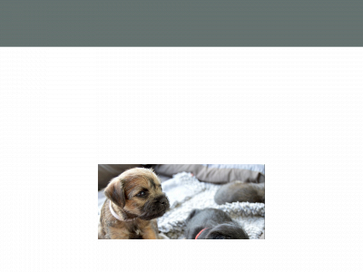 kennelkontrast.se snapshot