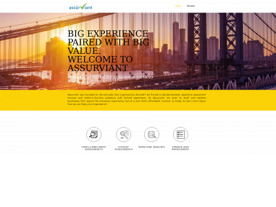 assurviant.com snapshot